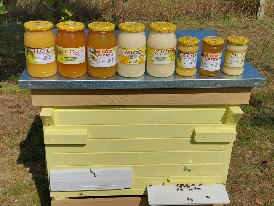 Miód Lipowy z Własnej Pasieki