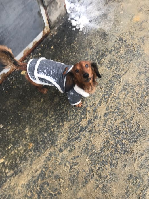 Беник шукає дівчінку