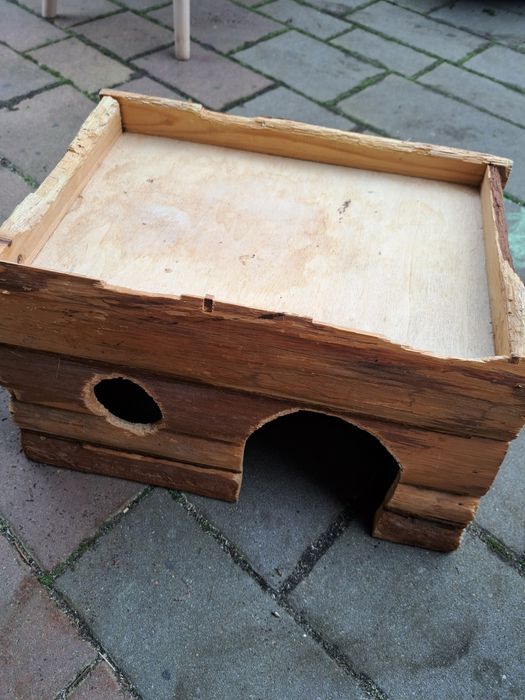 Paśnik dla królika świnki morskiej