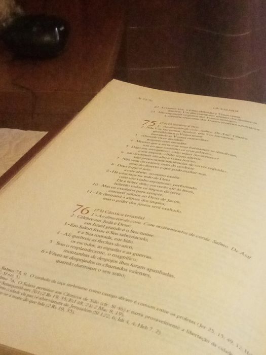 Vendo bíbilia sagrada grande30 por 20 folhas dourada excelente estado
