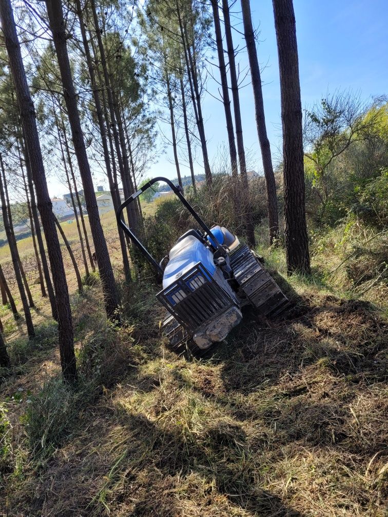 Limpeza de terrenos