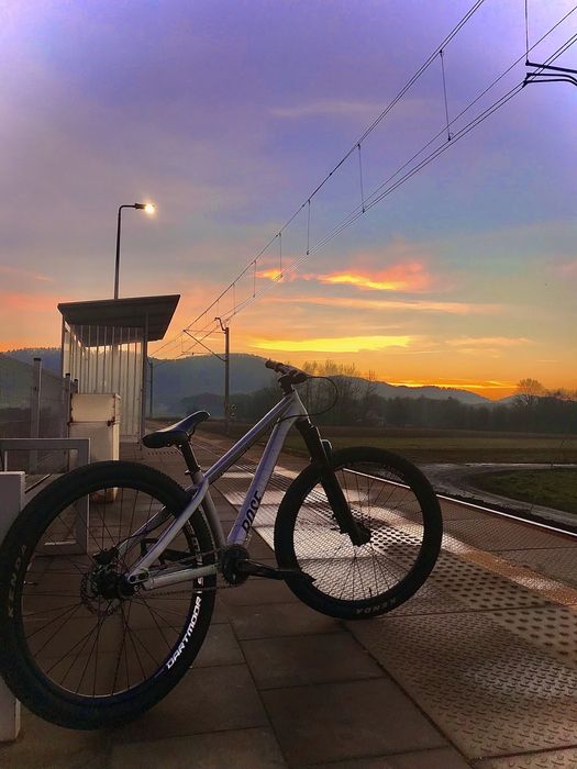 Rose the bruce OKAZJA