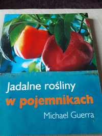 Jadalne rośliny w pojemnikach  Michael Guerra