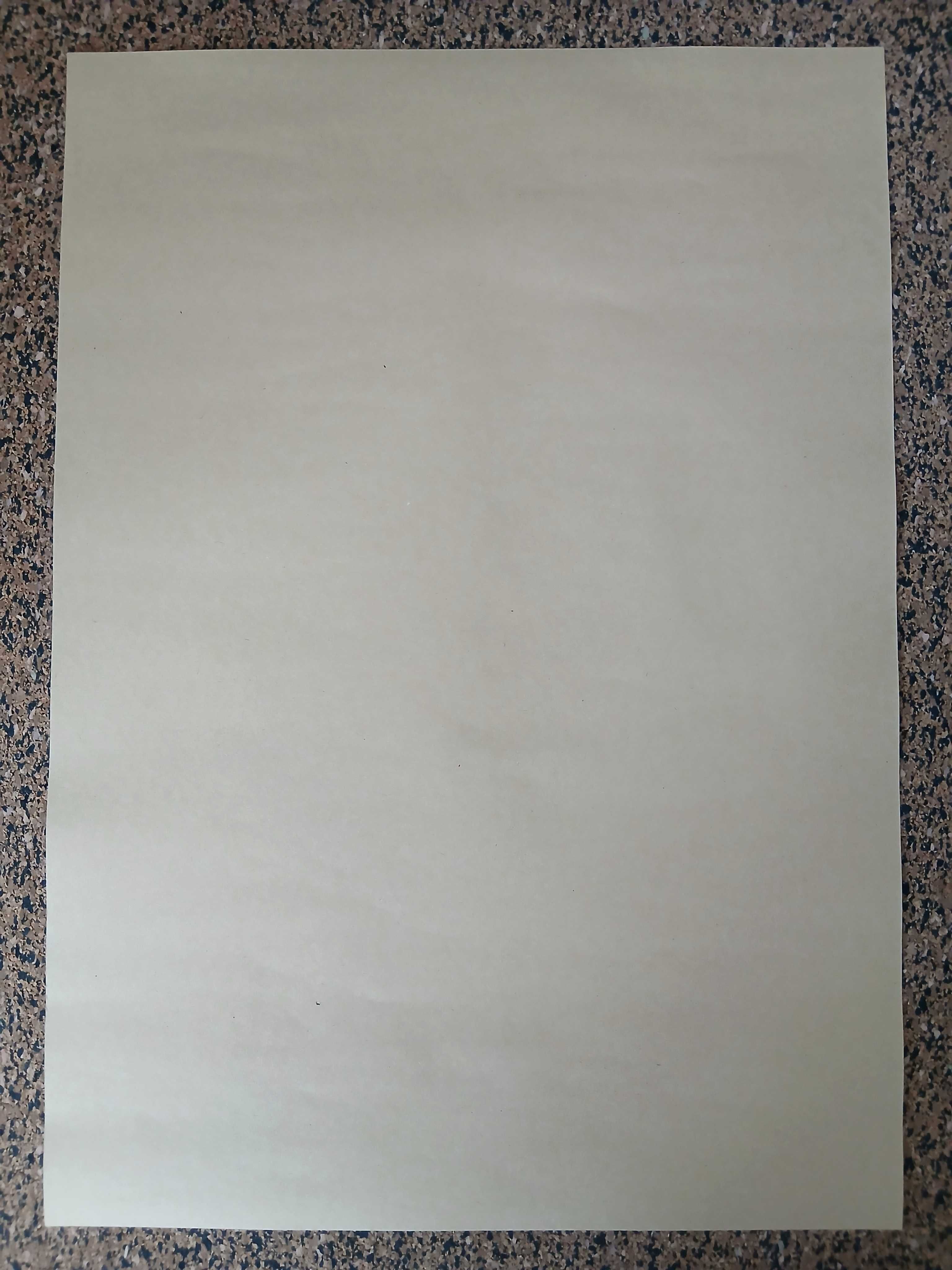 Poster - Taxi Driver (papel kraft, 30x42 cm)