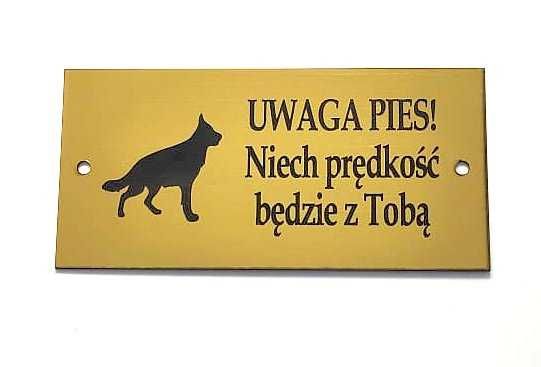 Tabliczka: Uwaga pies.