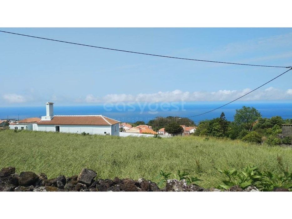 Prédio Rústico com viabilidade de construção Doze Ribeiras