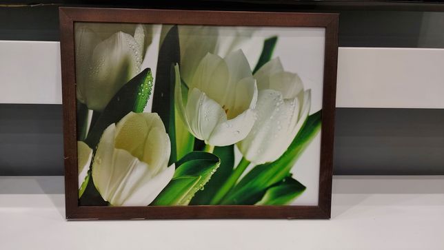 Obraz na ścianę tulipany 33x43 cm