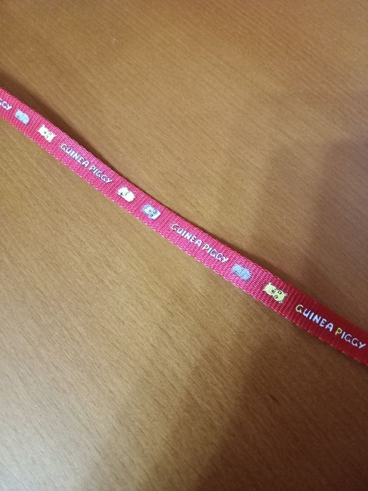 Trela com peitoral para porquinho da india