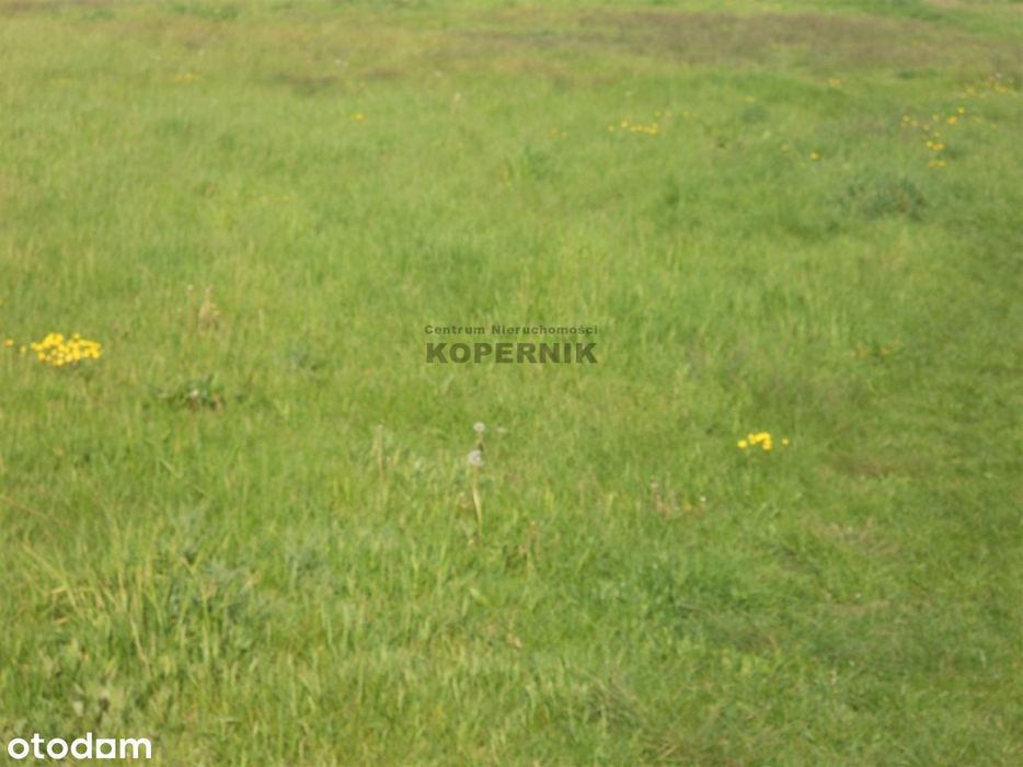 Działka budowlana blisko Torunia