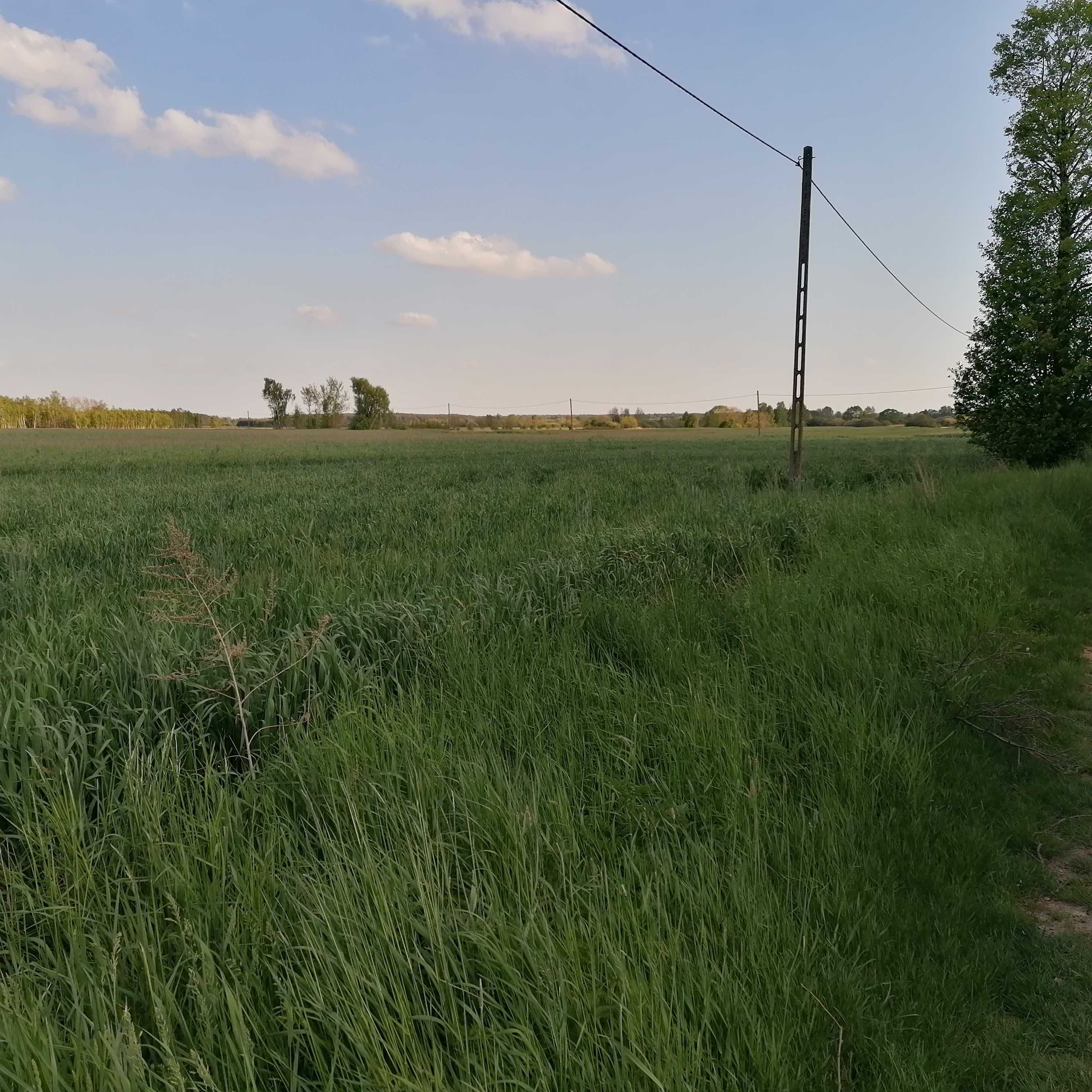 Działka budowlana Zamoście gm. Strzelce Wlk. pow. pajęczański