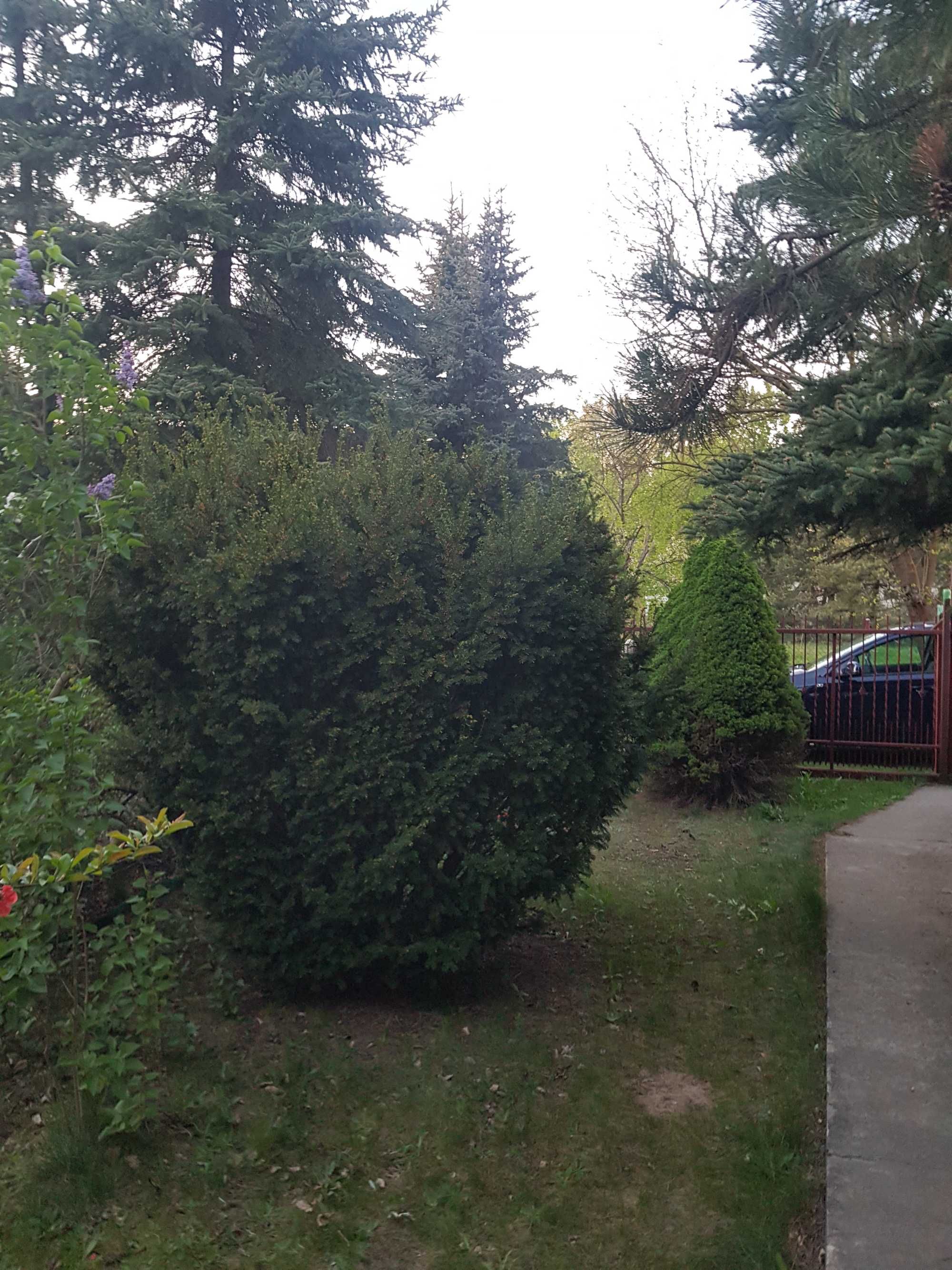 DZIALKI  R.O.D  jedna 400 m z domkiem i dwie polaczone 800 m
