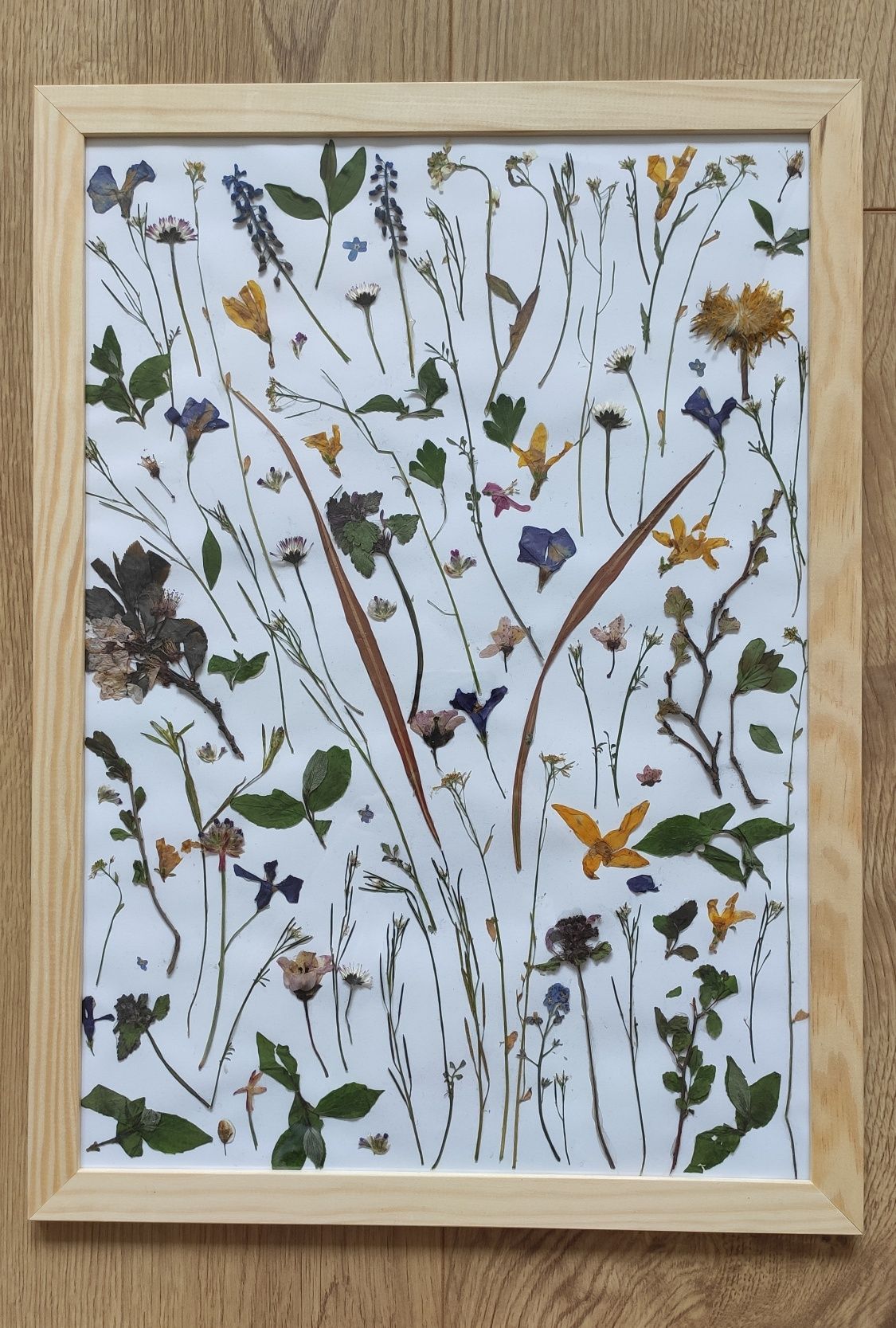 Obraz kompozycja z suszonych kwiatów