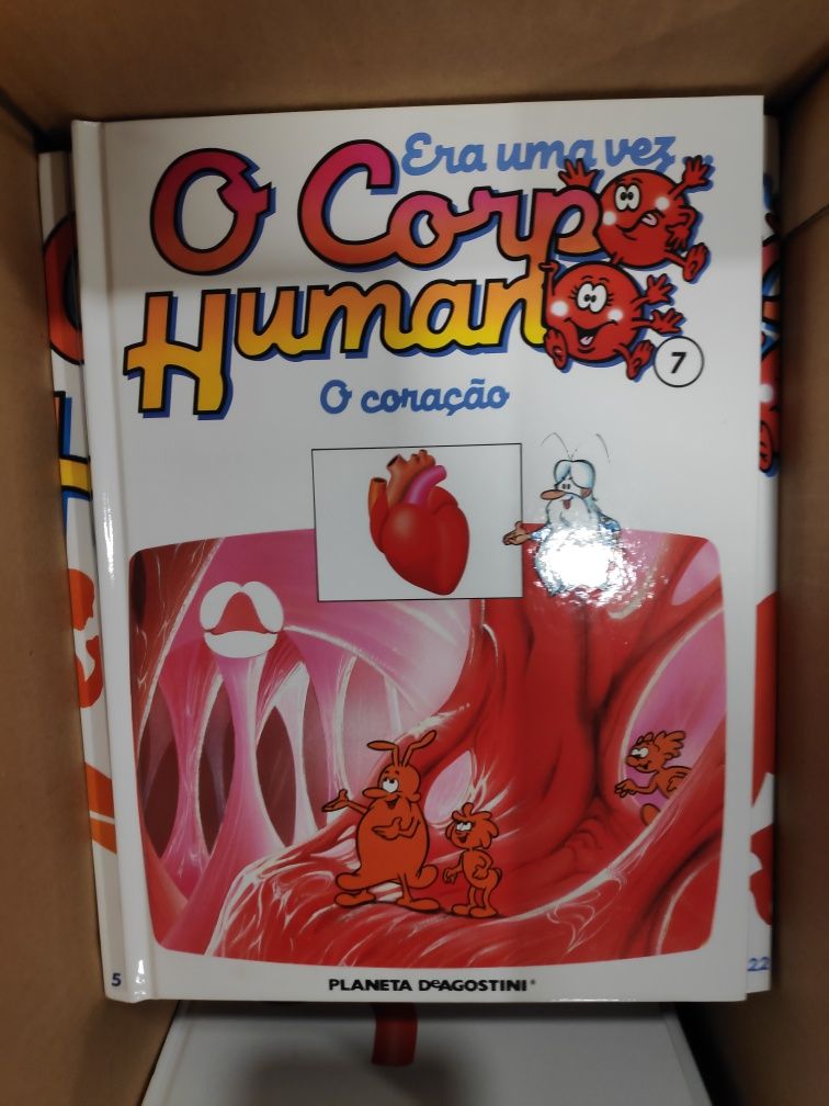 22 livros era uma vez o corpo humano