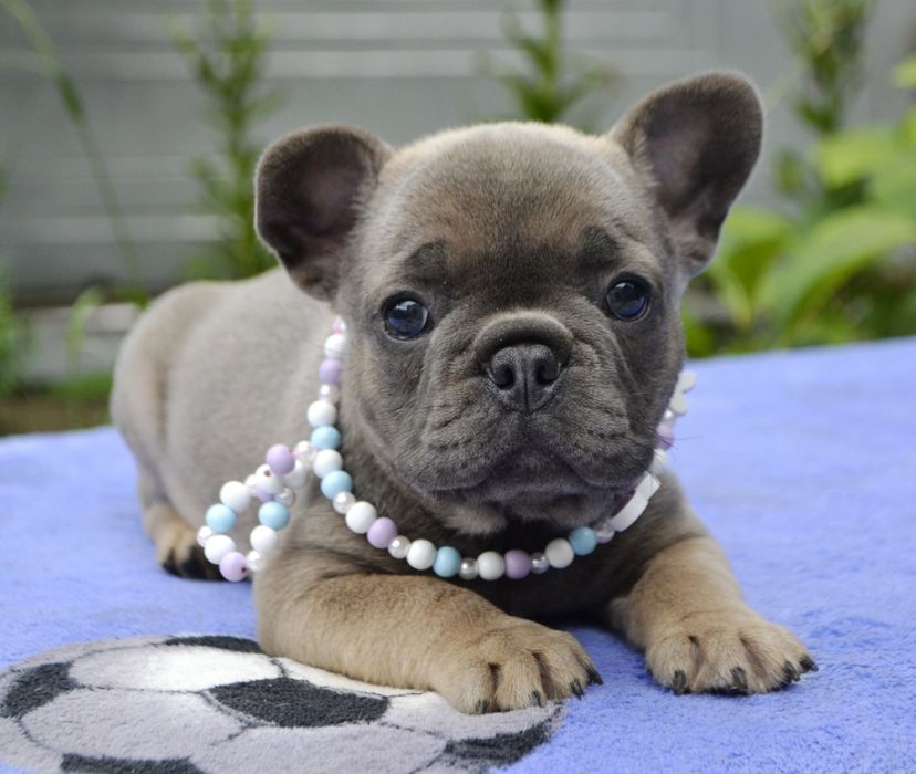 ДІвчинка  красоТулька