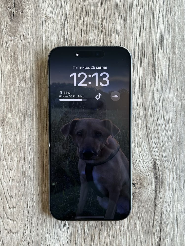 iPhone 16 Pro Max 256GB