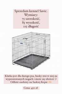 Kennel klatka dla psa duża 115x85x75