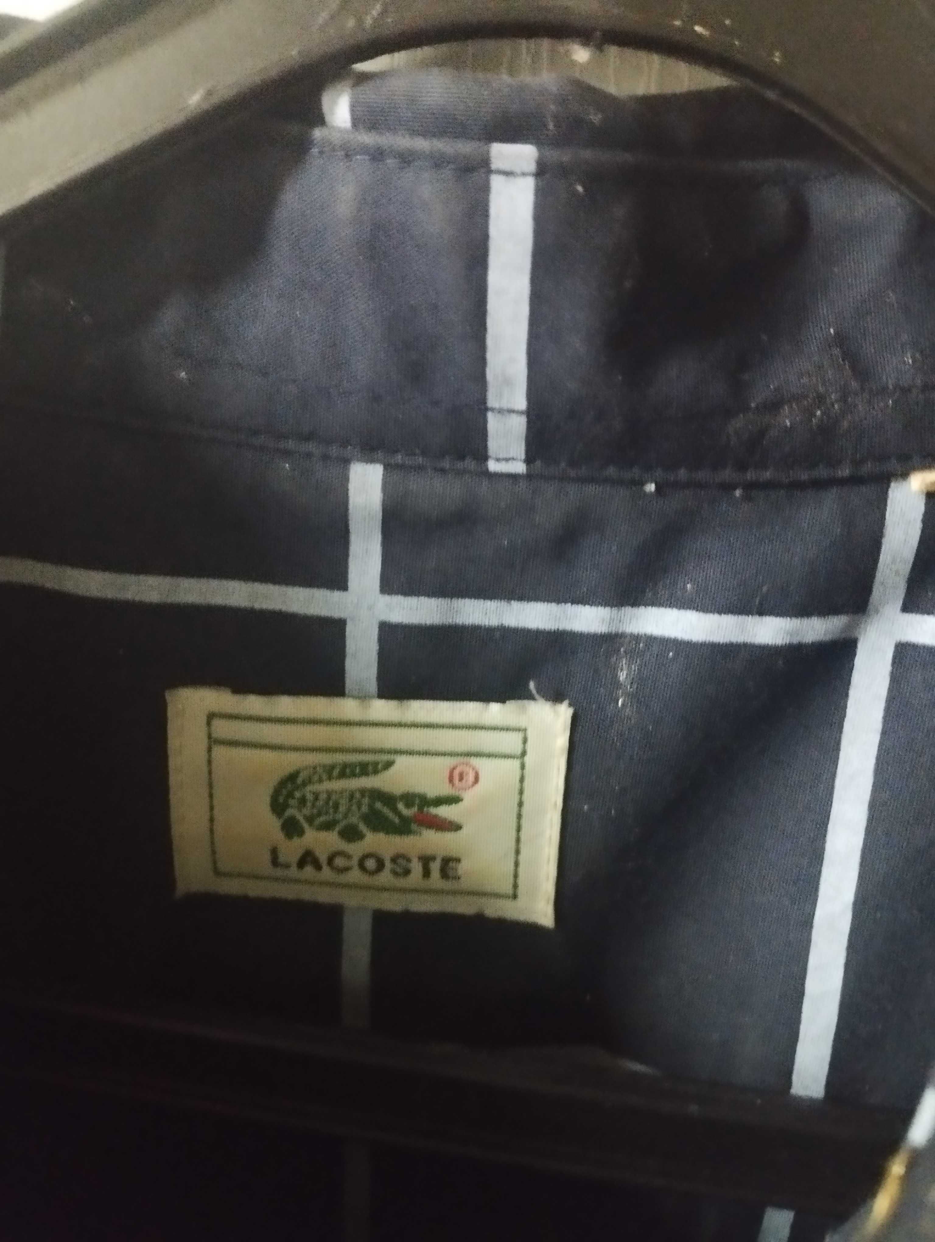 Camisa lacoste azul