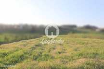 Terreno agricola c/2.500m2  - Fradelos
