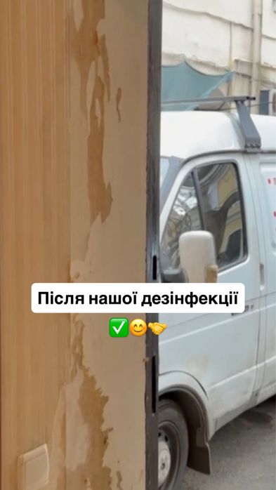 ‼️Удаление плесени - устранение грибка с гарантией на 3 года! Под ключ