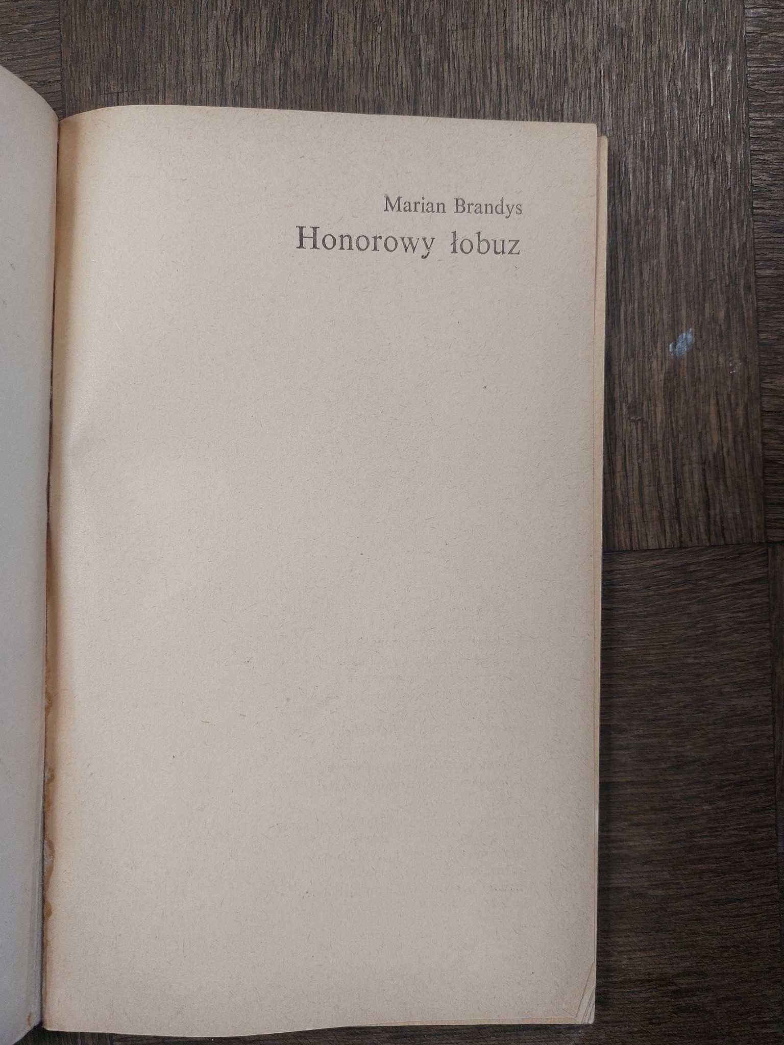 Honorowy Łobuz
Marian Brandys