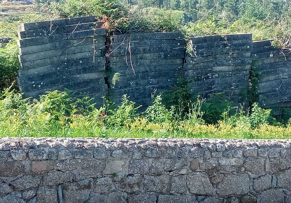 Esteios (Cruzetas) para agricultura