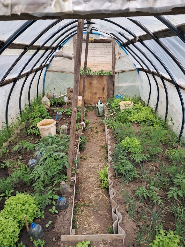 Продам дом в селе Новосёловка.