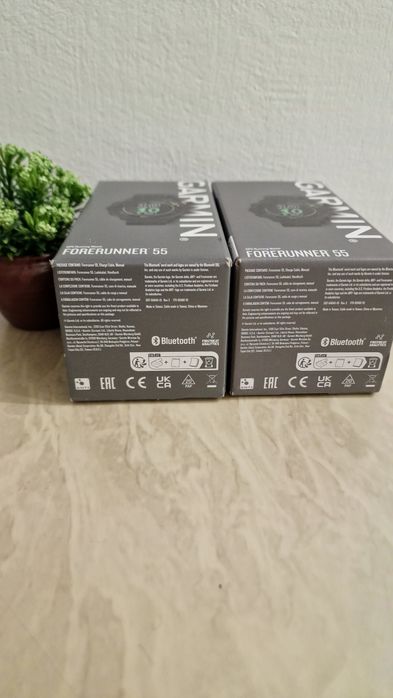 Смарт-годиник Garmin Forerunner 55 Black [010-02562-10