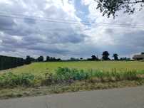 0.54 ha - Berlin - 116 km, Park Narodowy- 6 km