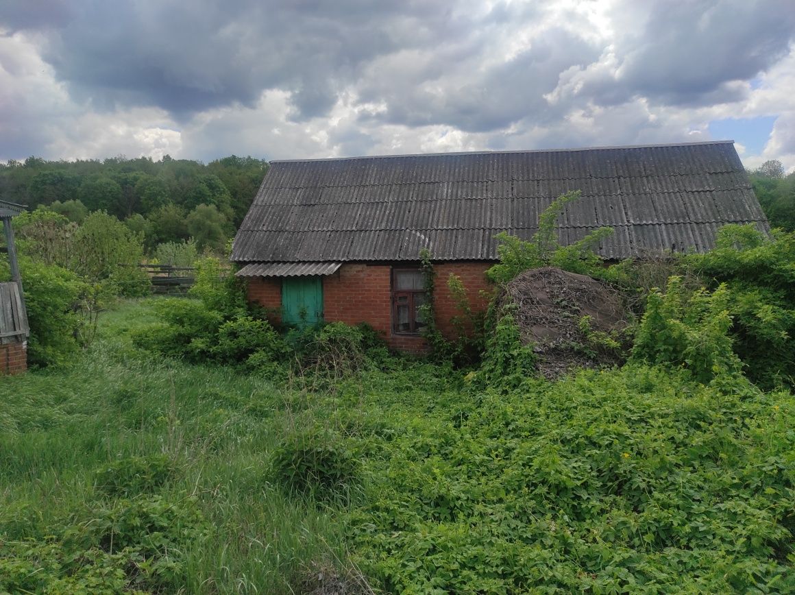 Продам будинок на березі озера.