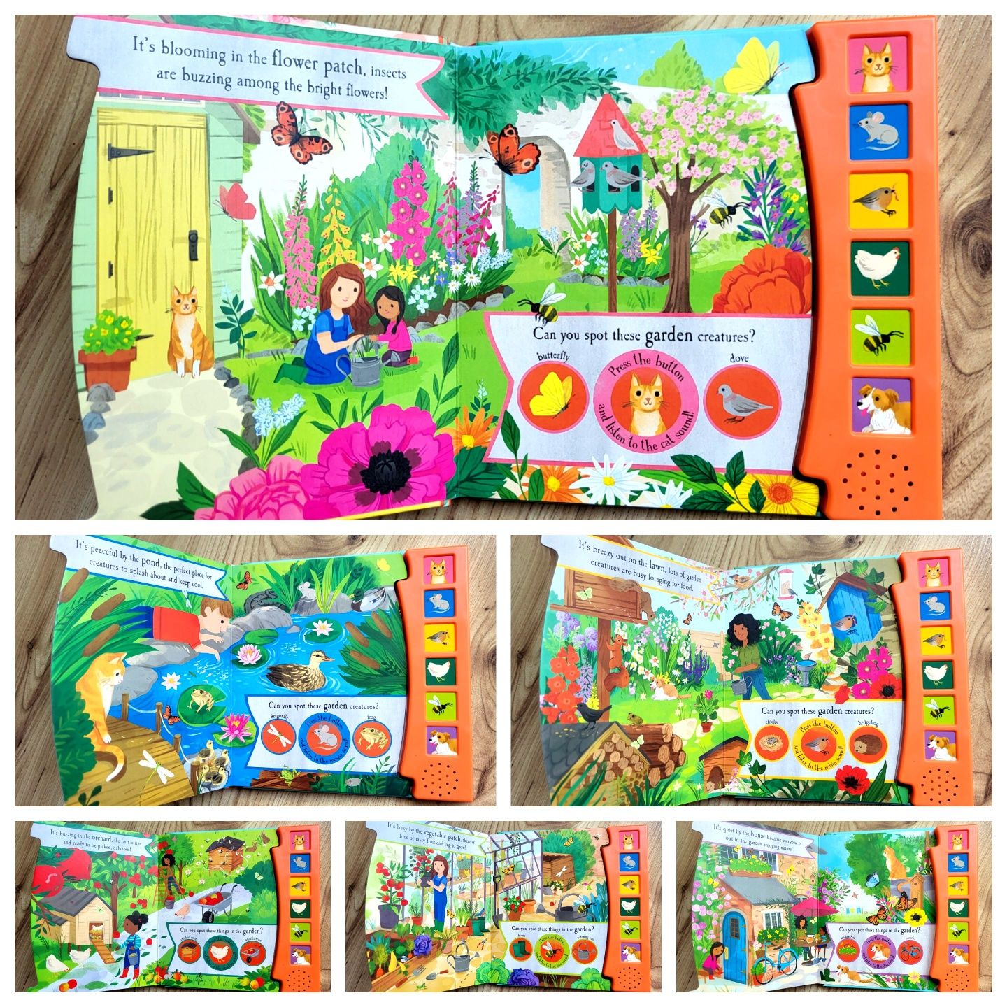 Let's Explore The Noisy Garden sound book książka dźwiękowa angielski