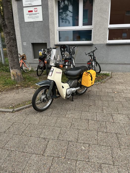 Koszula kolor, bardzo piękna bardzo