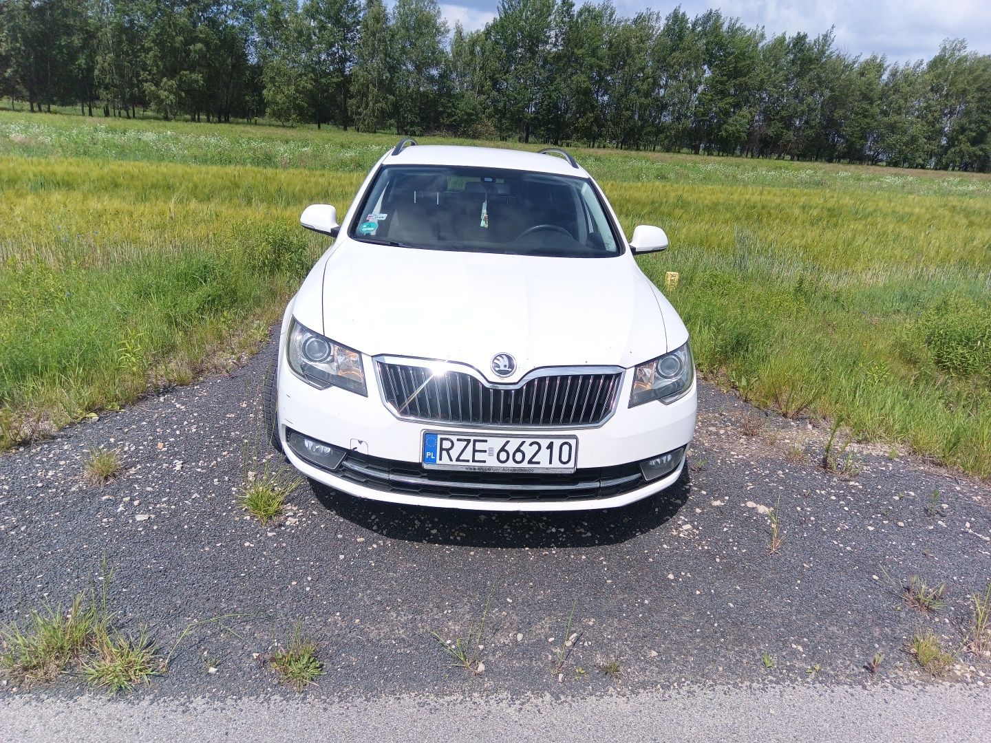 .Skoda .superb...