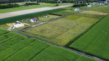 Dwie działki z warunkami zabudowy - pow. 3000 m2 blisko Żagania