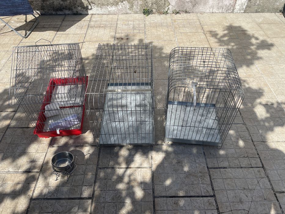 Gaiolas grandes para venda