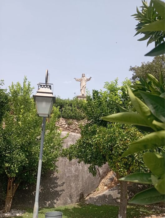 2 Terrenos em Cabanas de Viriato - Quinta do Fojo