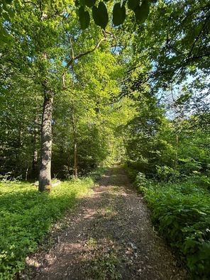 Działka budowlana 3,1 tys m dom z bali Wiązowna Kościelna