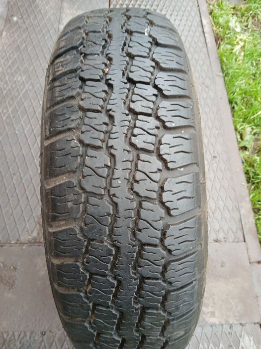 R13 165на70 бц19 росава всесезонка