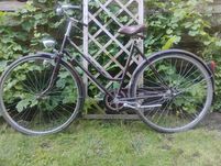 Rower Holender Gelderland