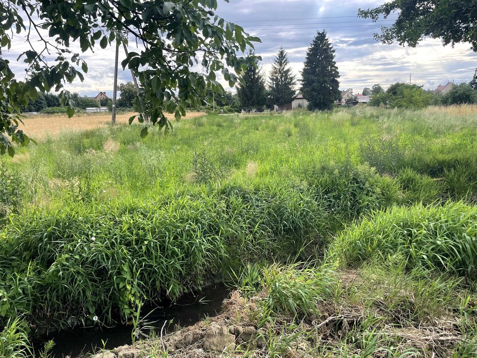 Działka UZBROJONA Niwnica k/Nysy SUPER Lokalizacja