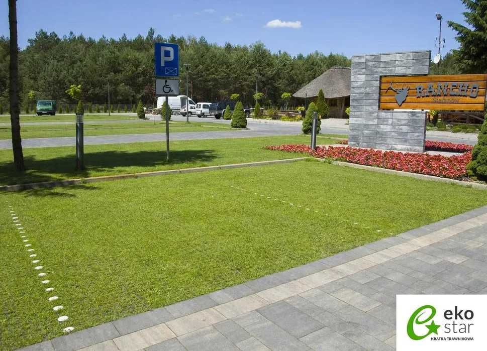 KRATKA GEOKRATA Trawnikowa Drogowa Parkingowa STELLA GREEN SG1 50x50x4