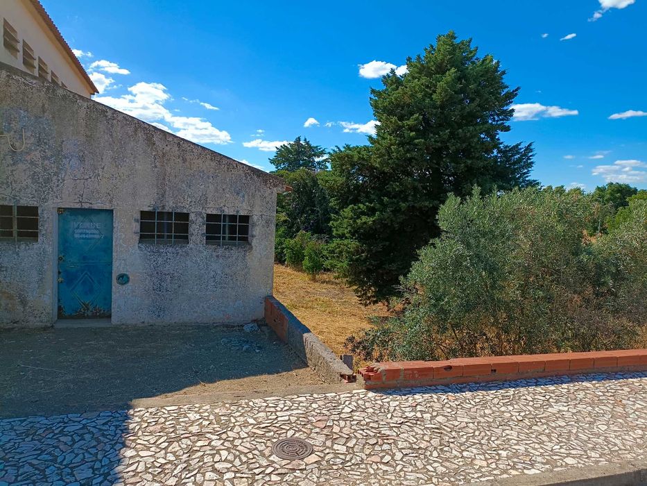 Adega antiga desativada