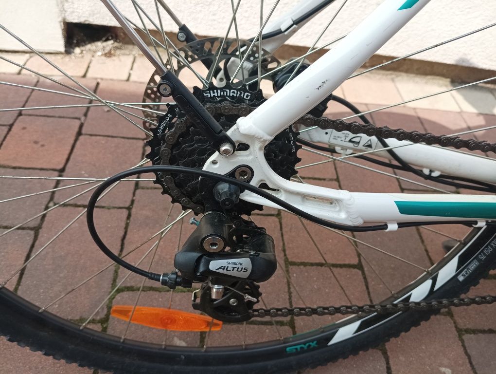 Rower Bulls CrossBike Street