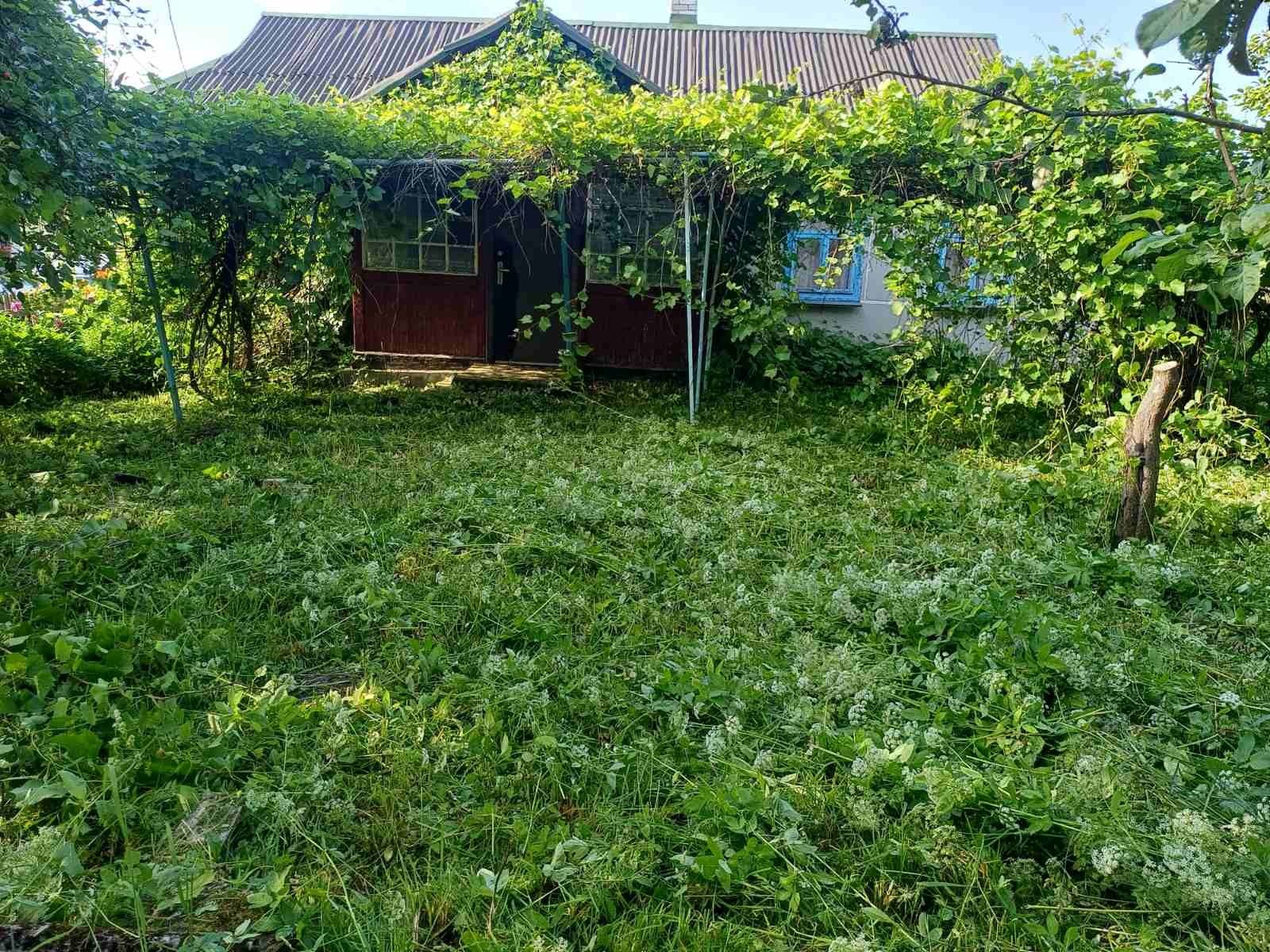 Продам будинок в селі Сілець
