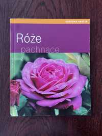 Róże pachnące -  Heide Rau | Przygotuj swój ogród na pachnącą wiosnę!