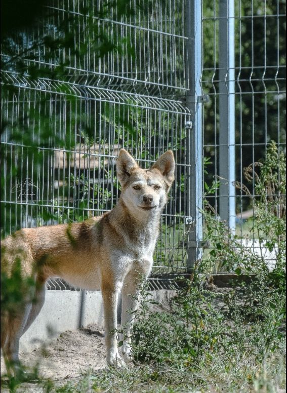 Przez piekło zgotowane przez człowieka ciężko jej pokonać lęk