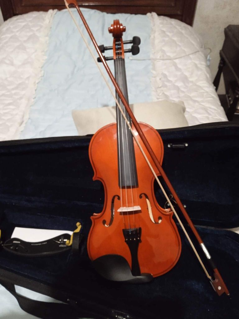 Violino com meio ano