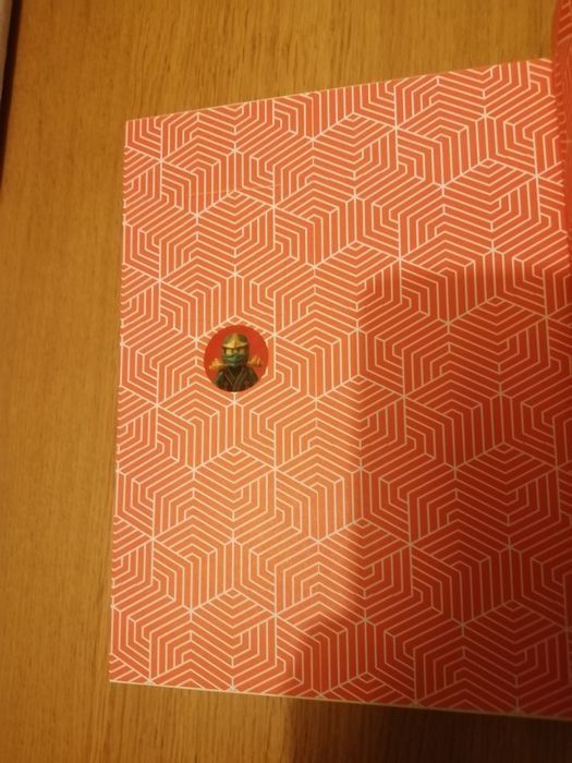 Lego Ninjago Secret World Of The Ninja