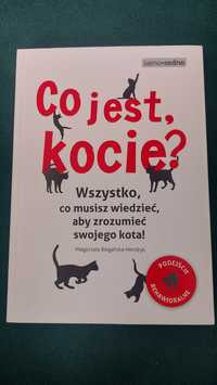 Co jest, kocie? Małgorzata Biegańska-Hendryk