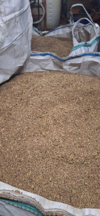 Seradela/saladera do wyczyszczenia