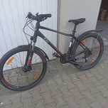 Rower damski Giant Liv Tempt